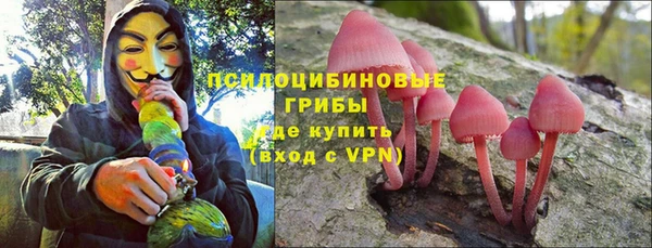 mdpv Переславль-Залесский