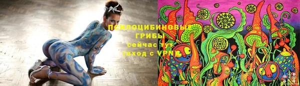 mdpv Переславль-Залесский