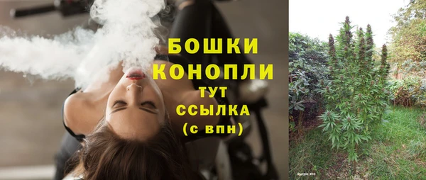 mdpv Переславль-Залесский